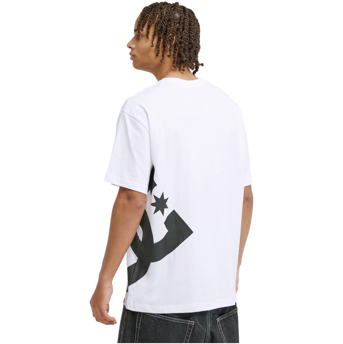 2026 DC Shoes Mens DC Lanai Tee EDYZT04414 - White